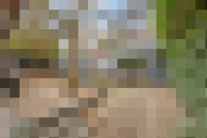 Giraffestraat 2 Breda thumbnail 31