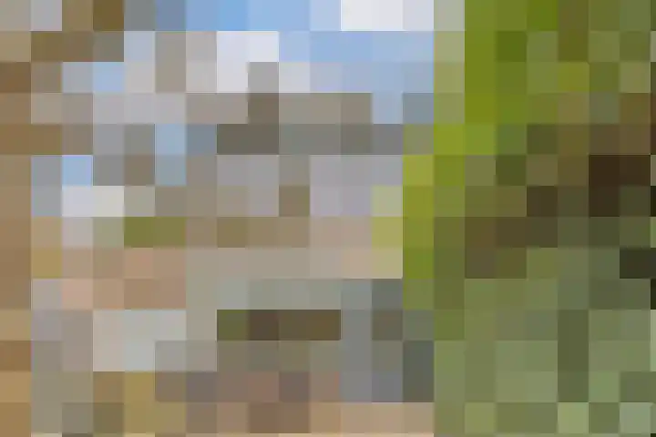 Giraffestraat 2 Breda thumbnail 32