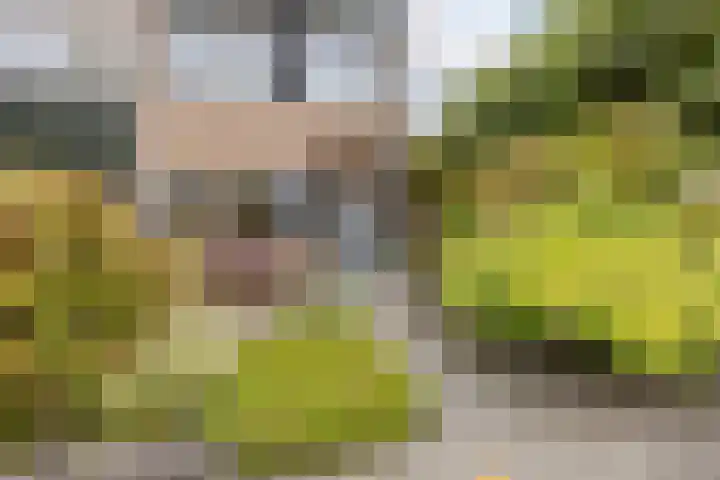 Giraffestraat 2 Breda thumbnail 38