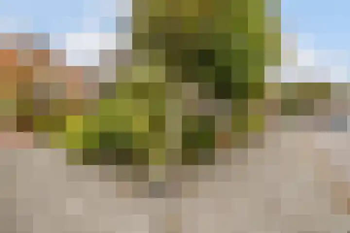 Giraffestraat 2 Breda thumbnail 39