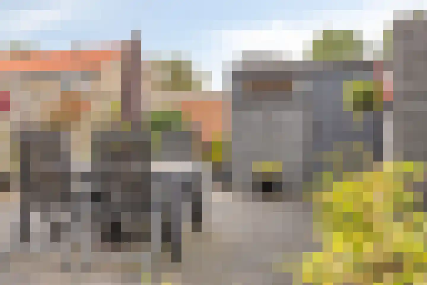Giraffestraat 33 Breda thumbnail 28