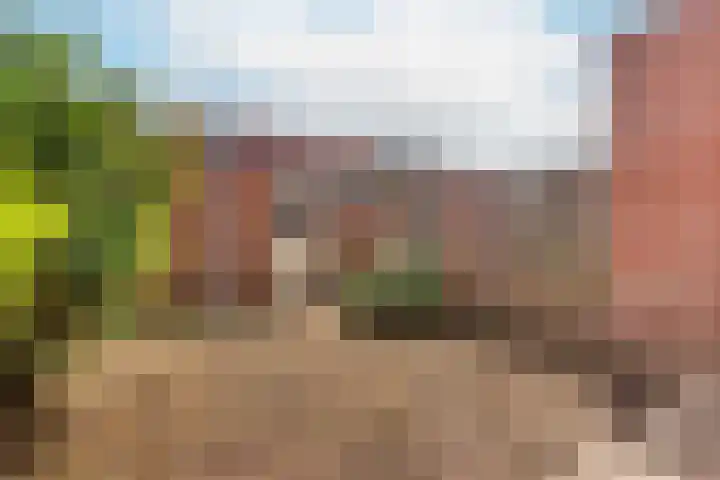 Giraffeweide 12 Nieuwegein thumbnail 13