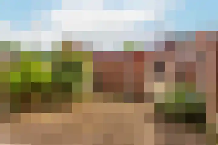 Giraffeweide 12 Nieuwegein thumbnail 14