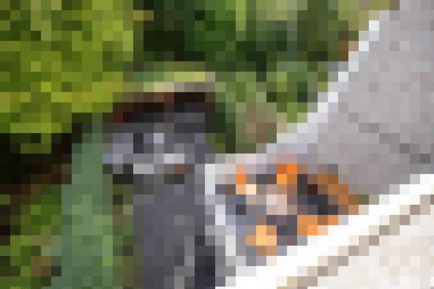 Gironde 7 Leusden thumbnail 18