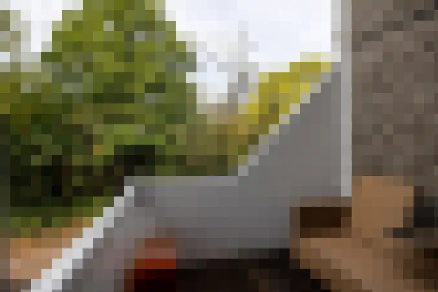 Gironde 7 Leusden thumbnail 25