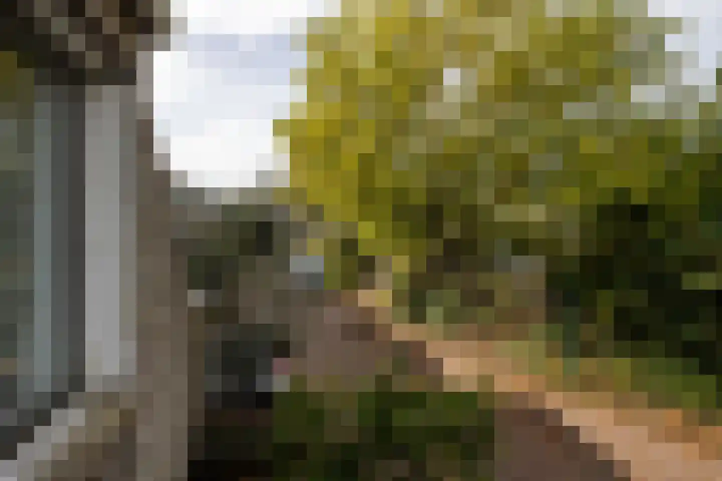 Gironde 7 Leusden thumbnail 26