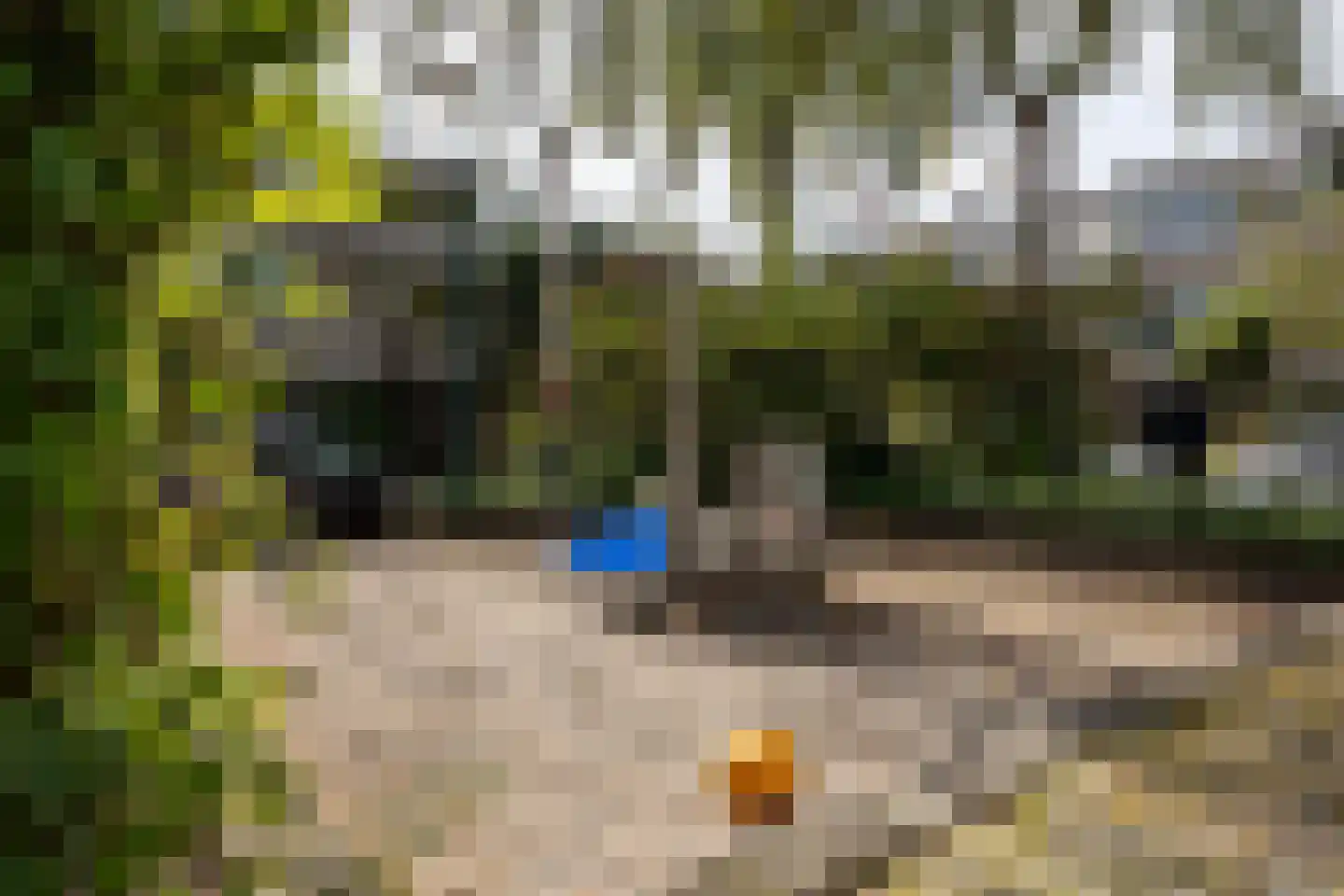 Gironde 7 Leusden thumbnail 44