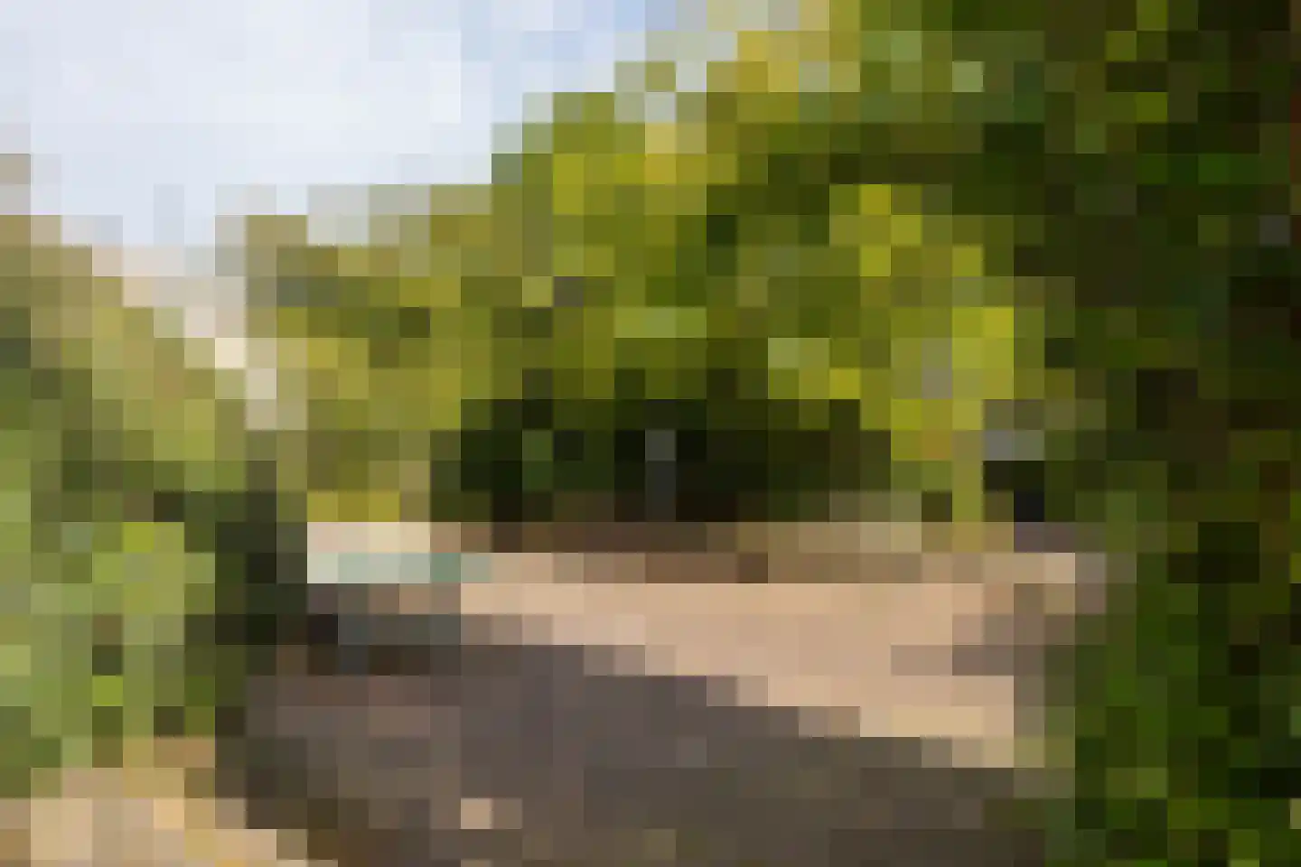 Gironde 7 Leusden thumbnail 45
