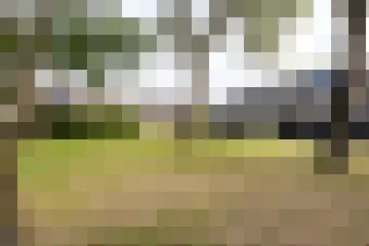 Girsesland 59 Middelburg thumbnail 5