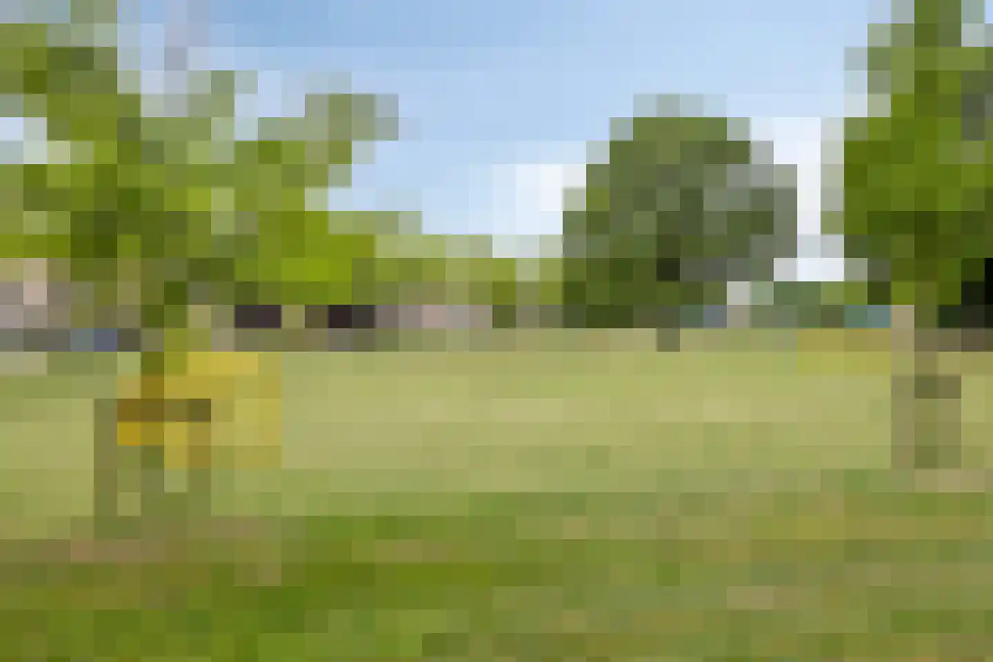 Gisbert Schairtweg 46 Zaltbommel thumbnail 46