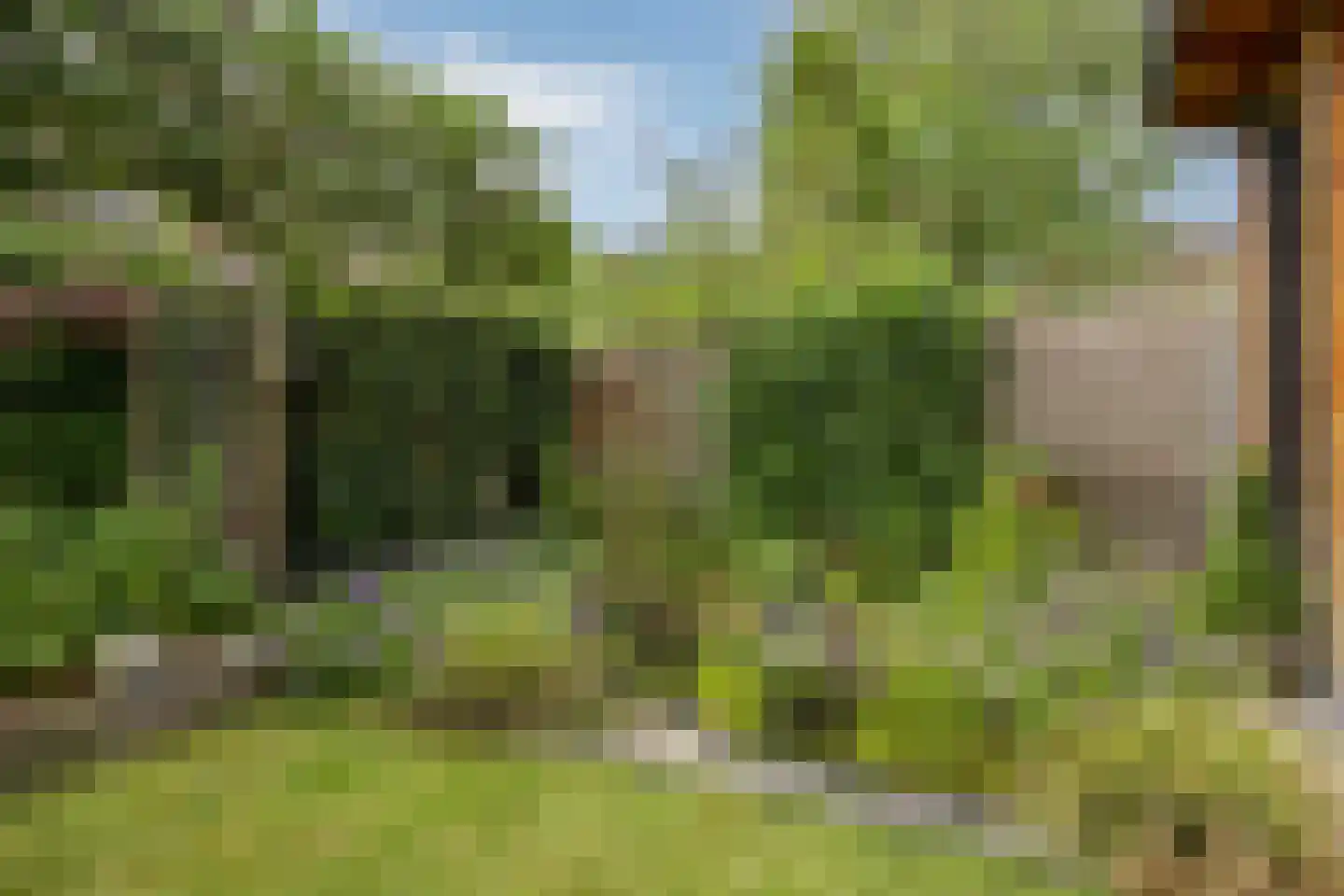 Gisbert Schairtweg 46 Zaltbommel thumbnail 9