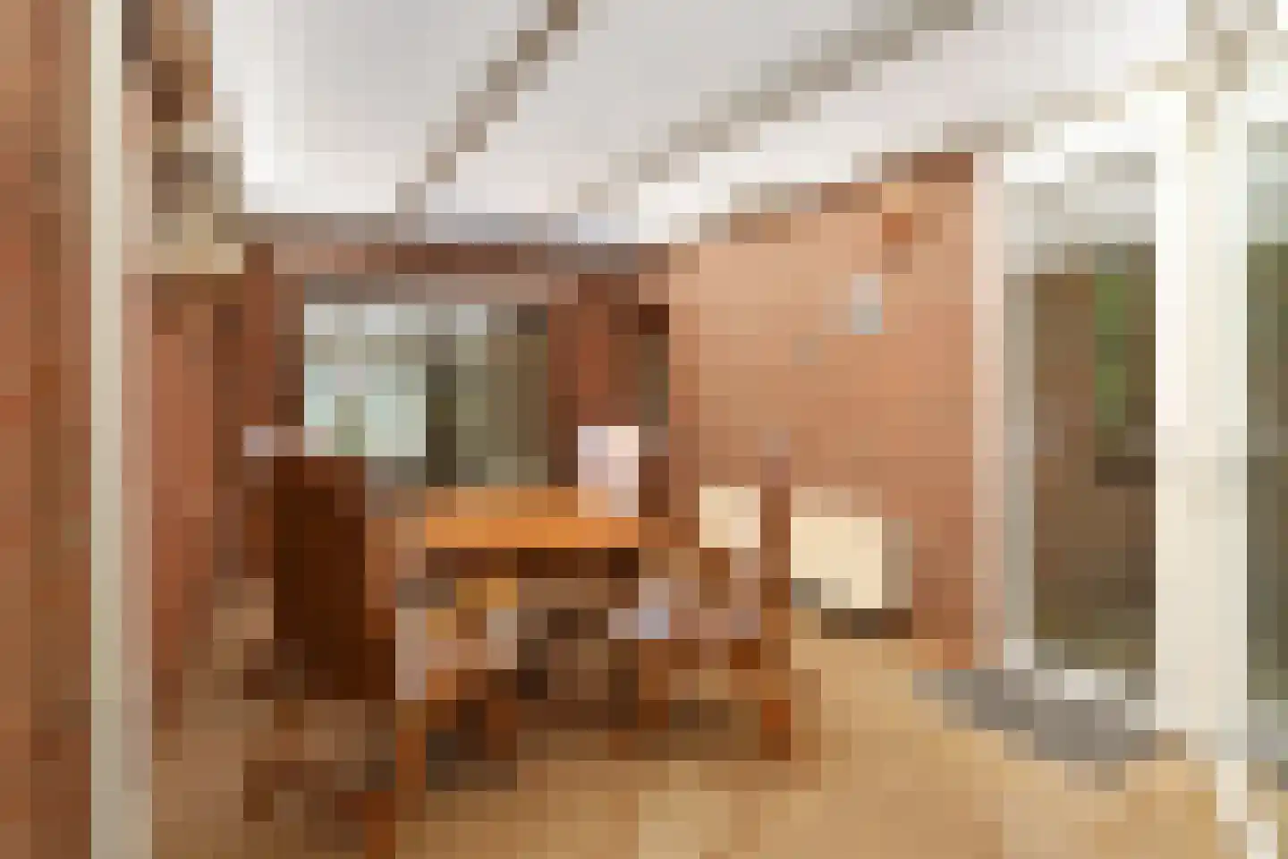 Giselbert Backstraat 1 Hilvarenbeek thumbnail 20