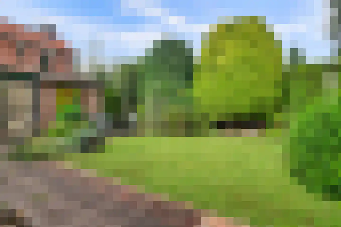 Giselbert Backstraat 1 Hilvarenbeek thumbnail 30