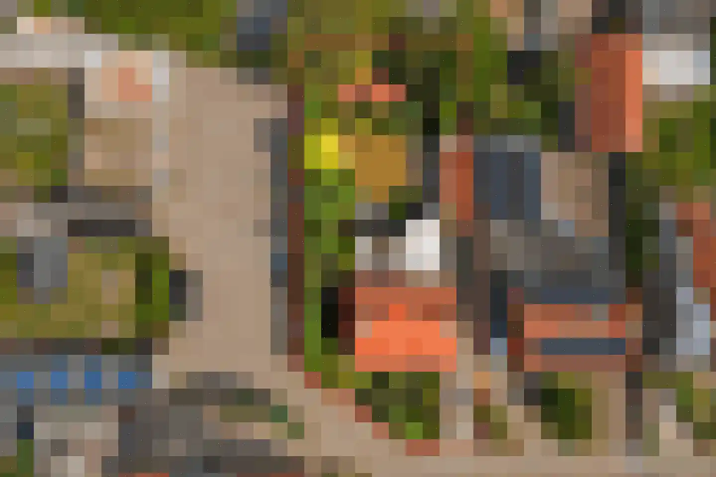 Giselbert Backstraat 1 Hilvarenbeek thumbnail 7