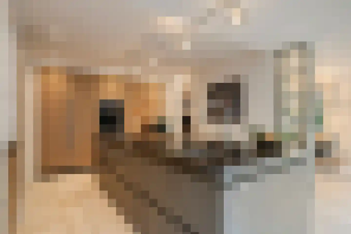 Gistel 6 Helmond thumbnail 35