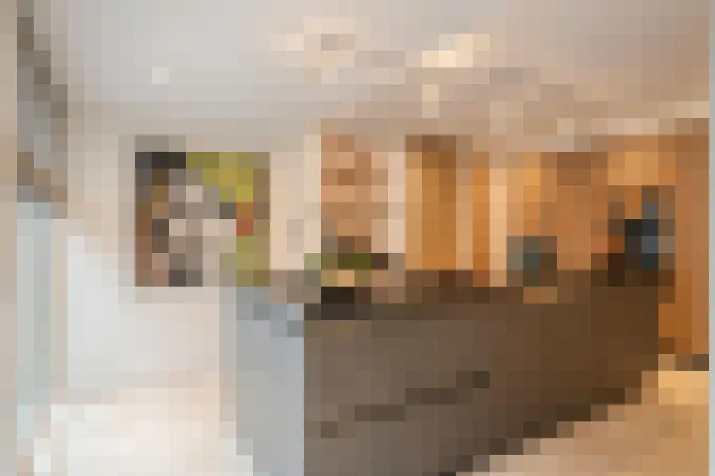 Gistel 6 Helmond thumbnail 4