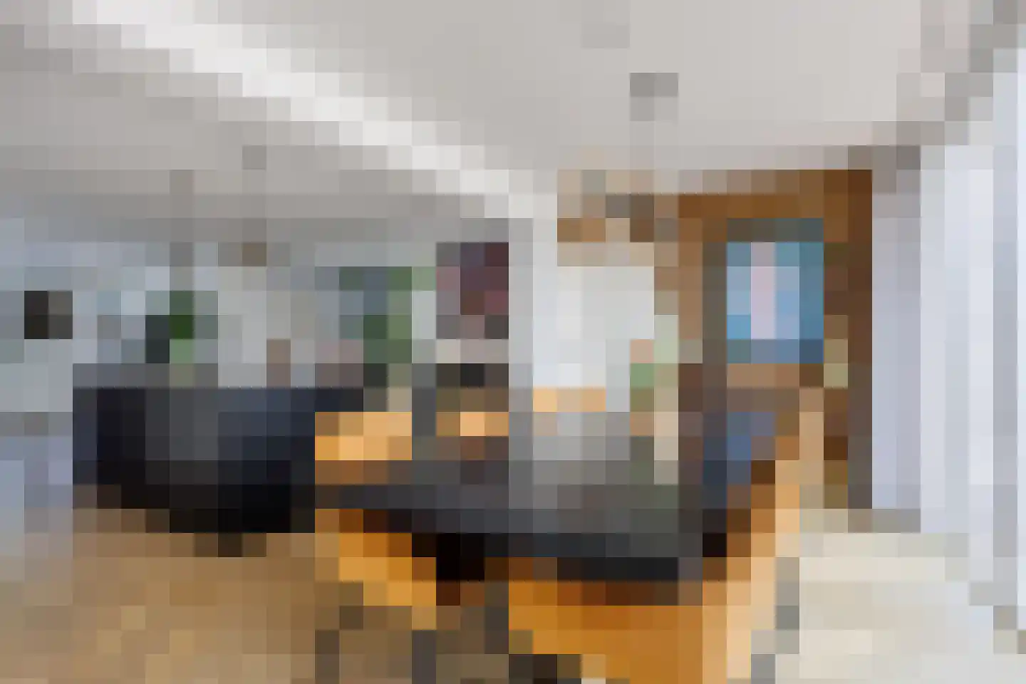 Gitaar 18 Ewijk thumbnail 13