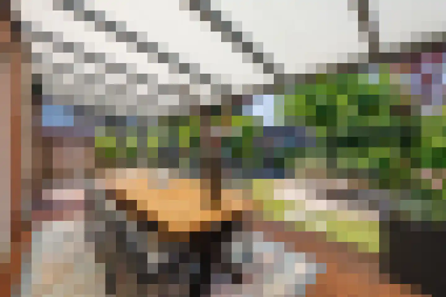 Gitaar 18 Ewijk thumbnail 42