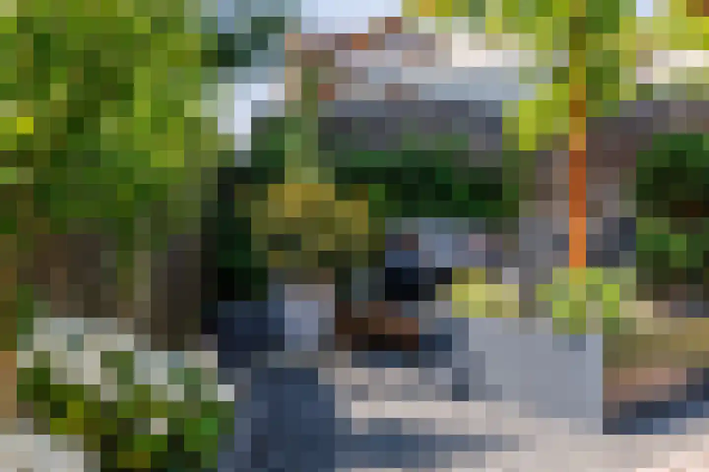 Gitaar 18 Ewijk thumbnail 48
