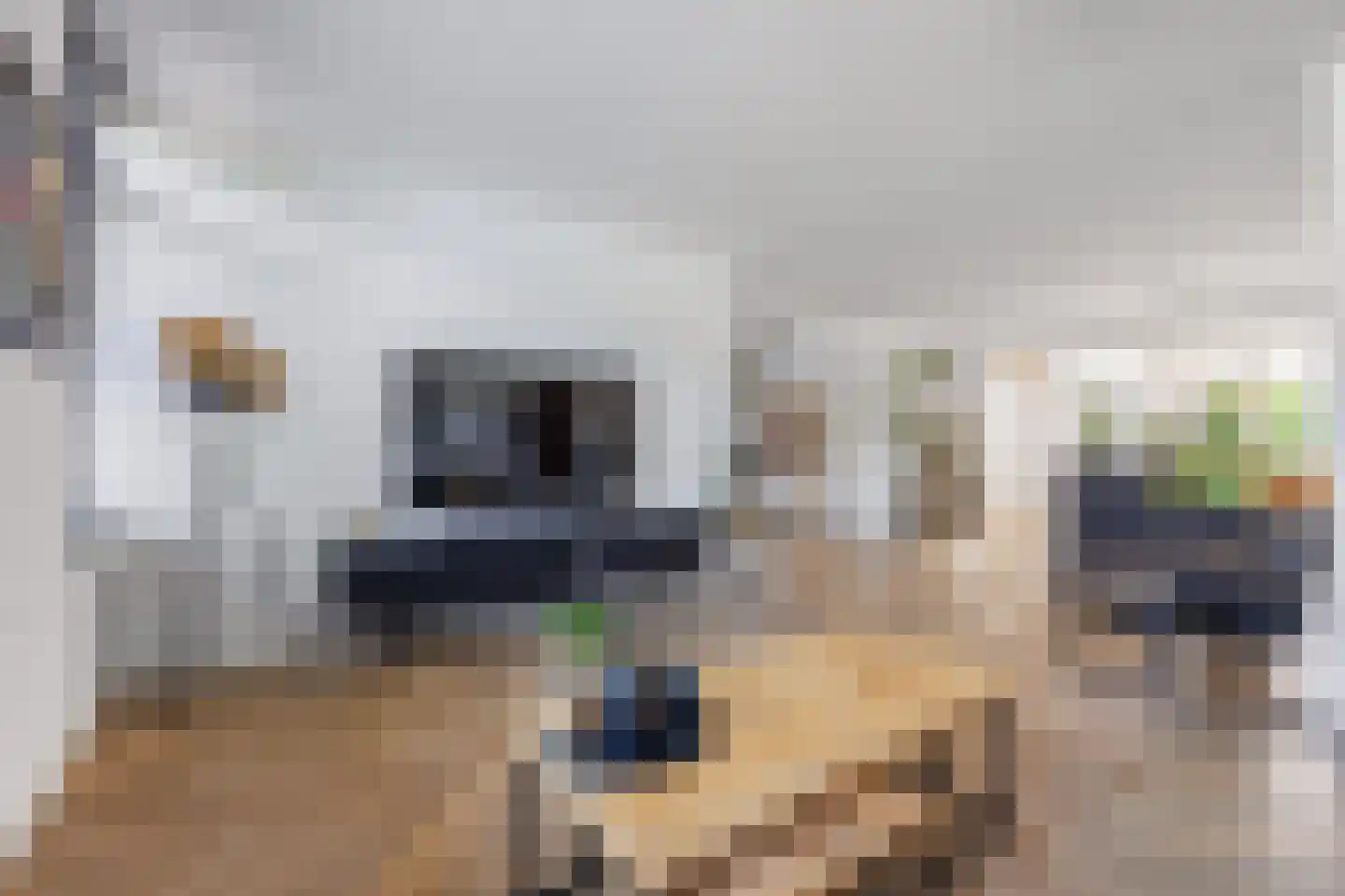 Gitaar 18 Ewijk thumbnail 5