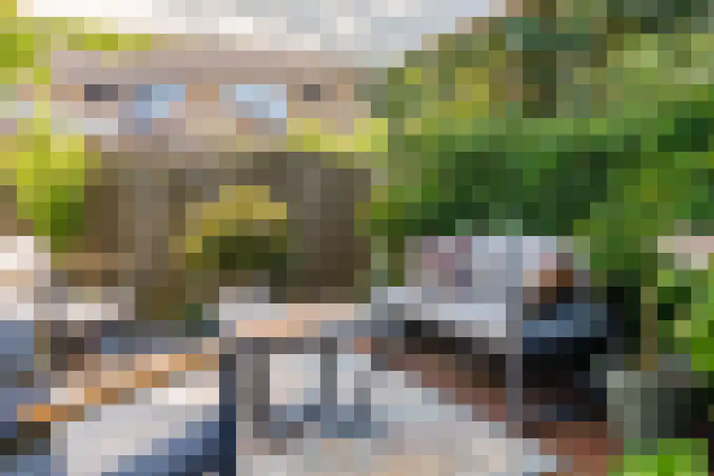 Gitaar 18 Ewijk thumbnail 51