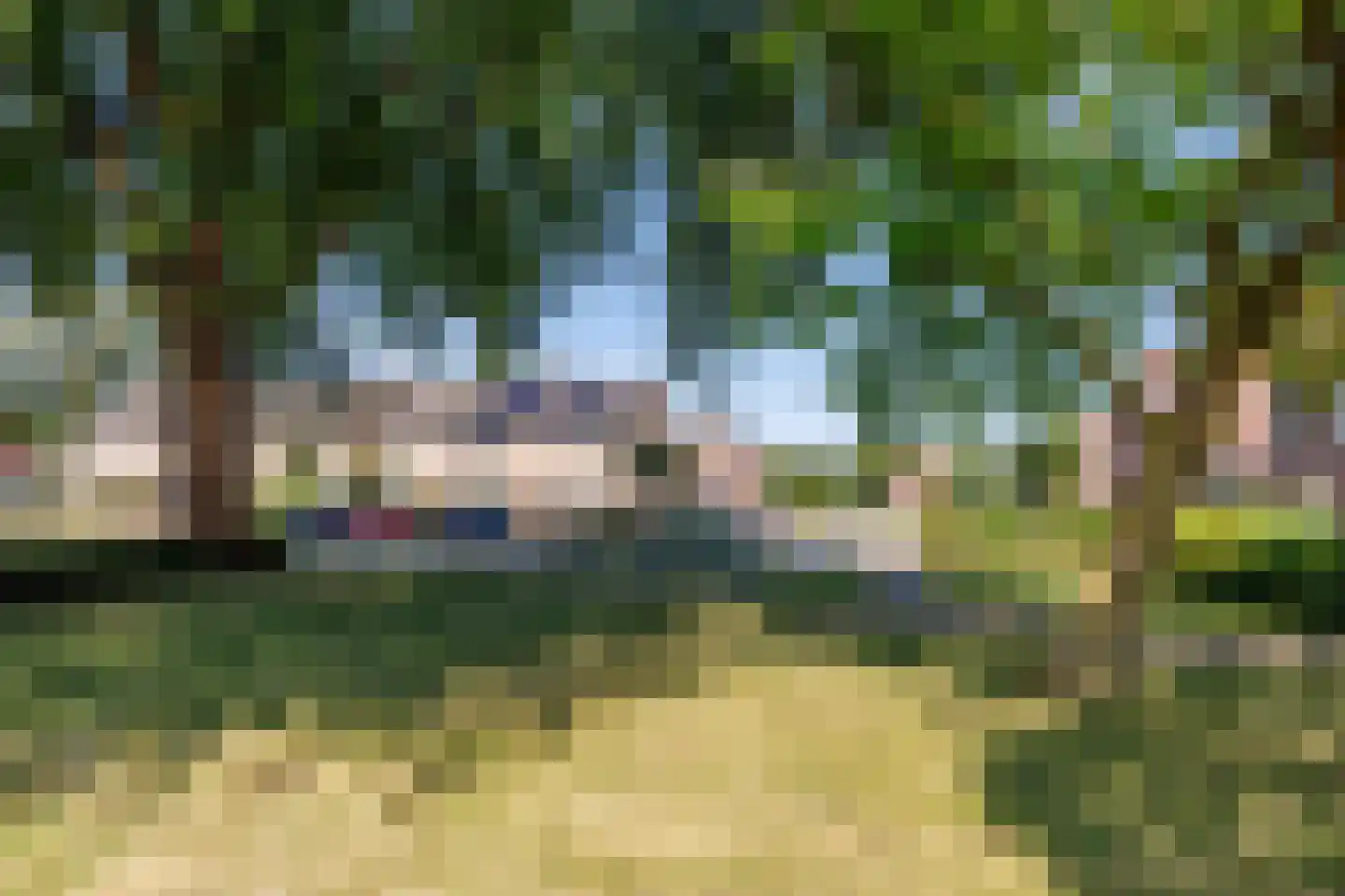 Gitaar 18 Ewijk thumbnail 63