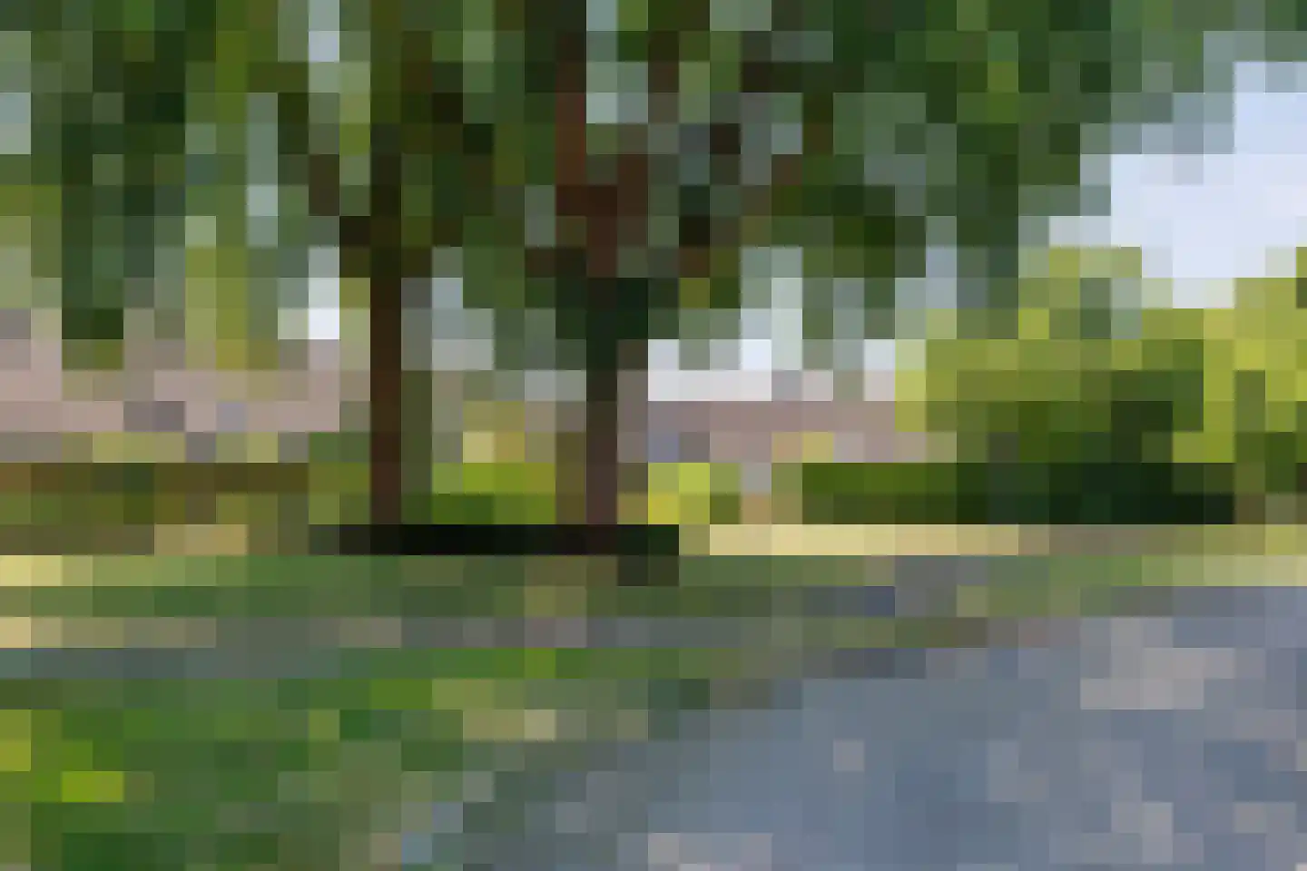 Gitaar 18 Ewijk thumbnail 64