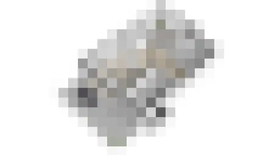 Gitaar 18 Ewijk thumbnail 72