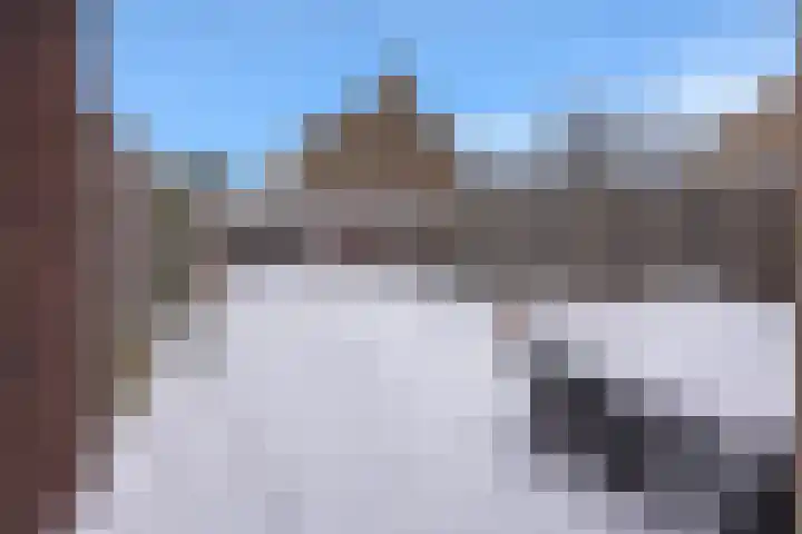 Gitaar 74 Ewijk thumbnail 47