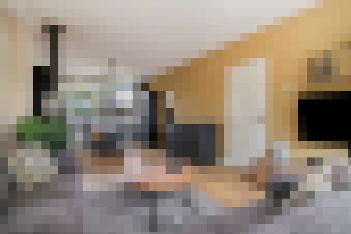 Gitaarstraat 10 Uden thumbnail 10