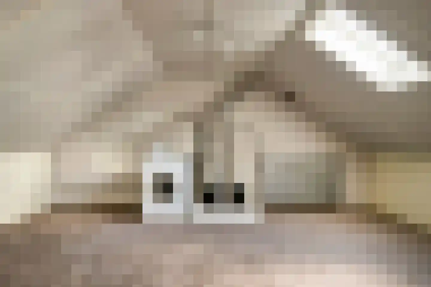 Gitaarstraat 10 Uden thumbnail 25