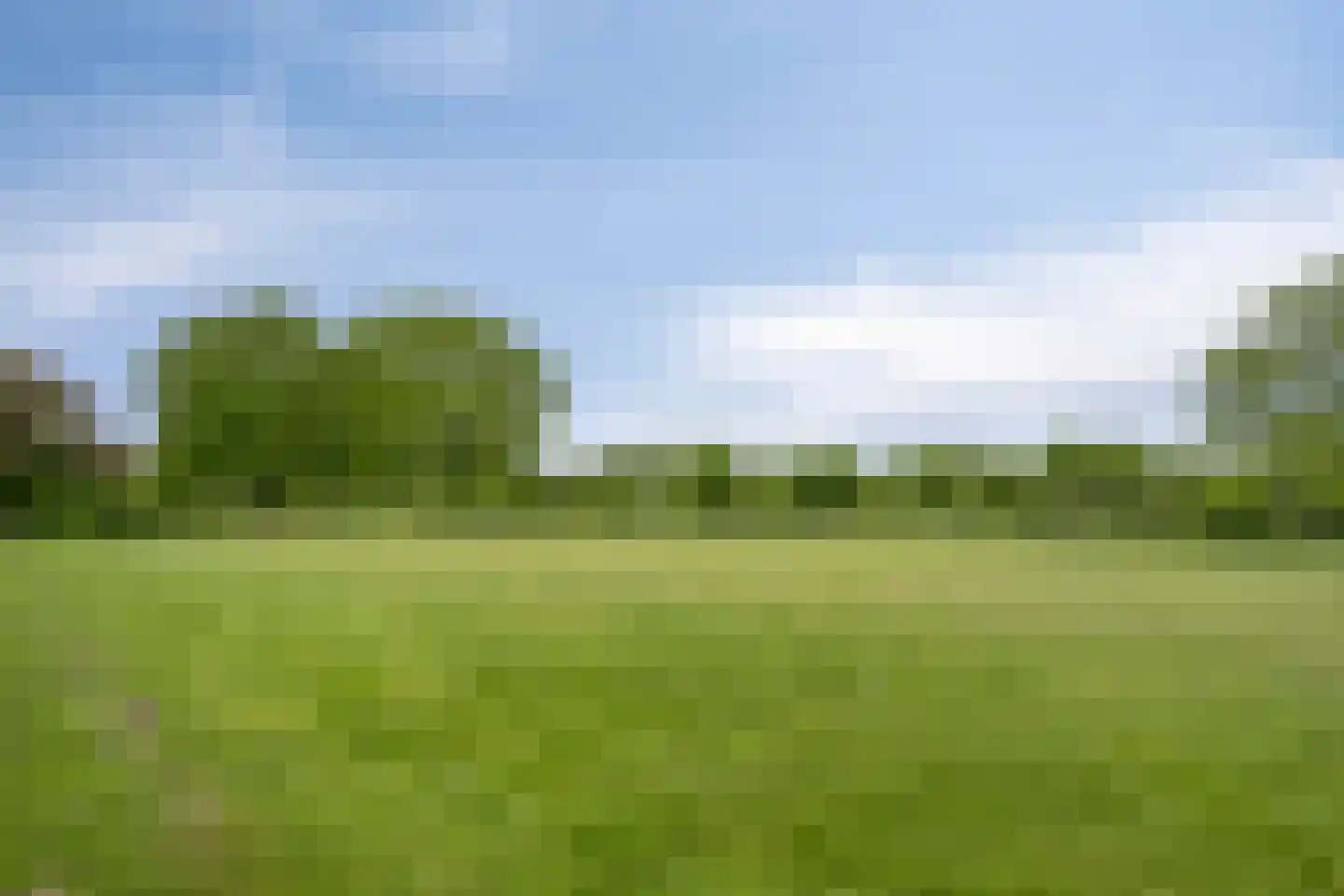 Gitaarstraat 10 Uden thumbnail 35