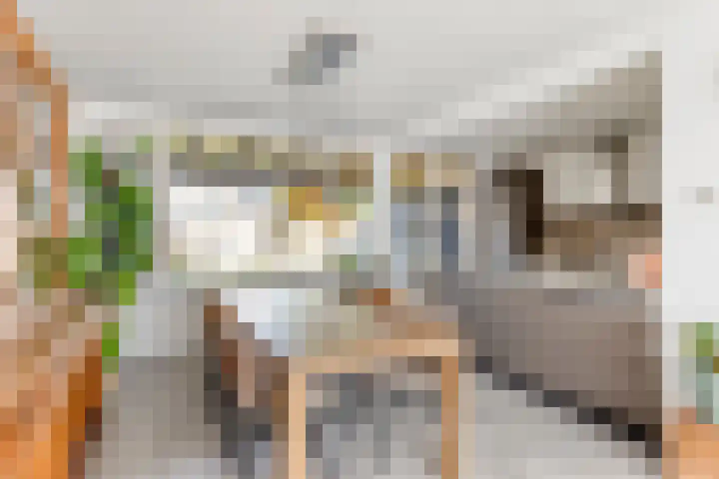 Gitaarstraat 14 Uden thumbnail 17