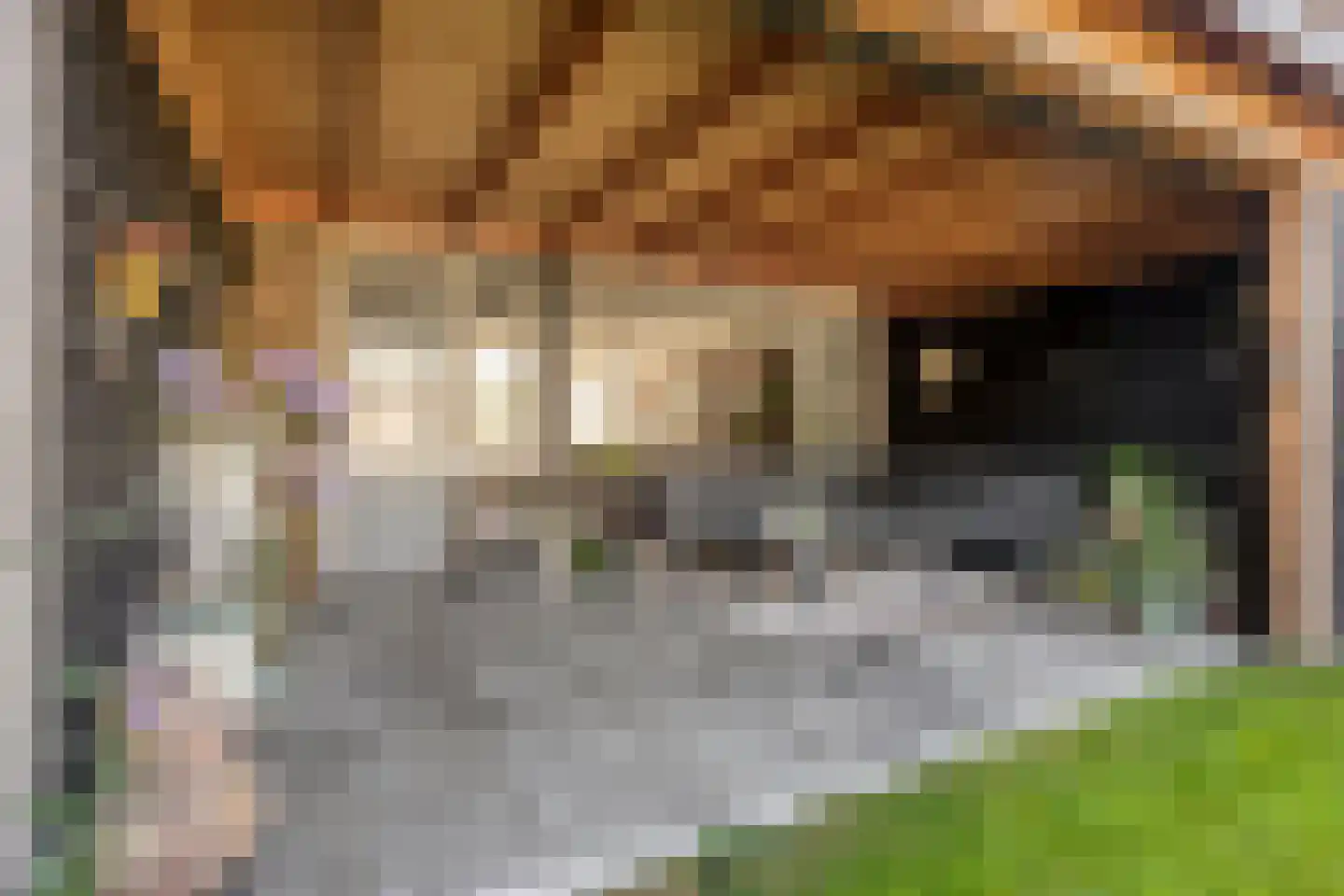 Gitaarstraat 14 Uden thumbnail 44