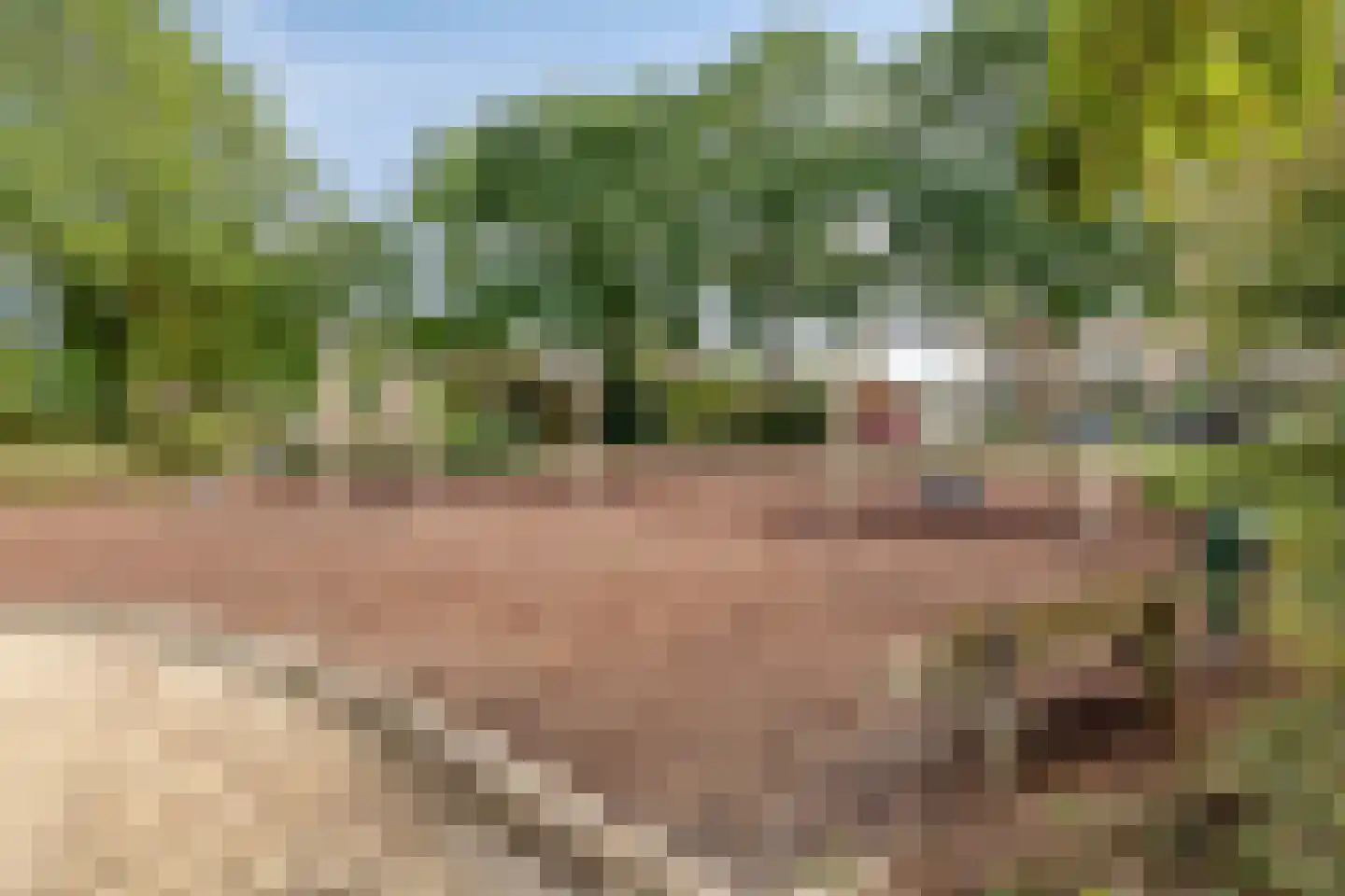 Gitaarstraat 14 Uden thumbnail 48