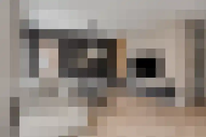 Gitaarstraat 15 Eindhoven thumbnail 14