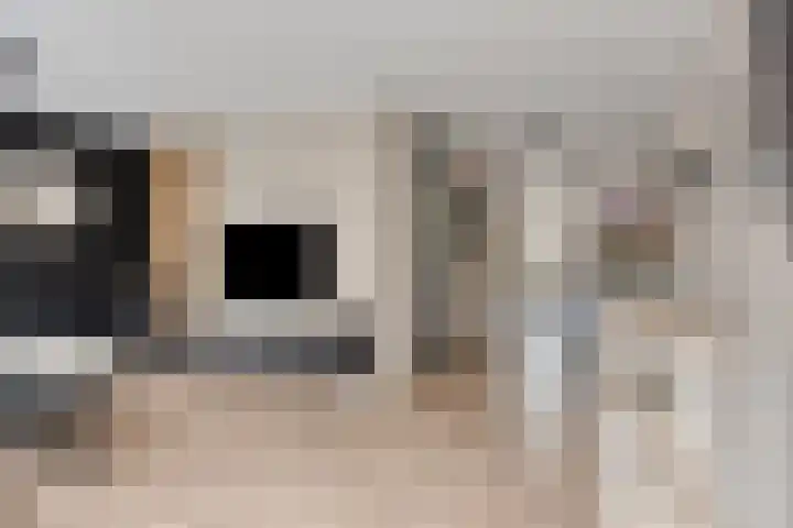 Gitaarstraat 15 Eindhoven thumbnail 15