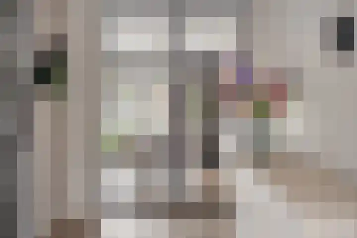 Gitaarstraat 15 Eindhoven thumbnail 16