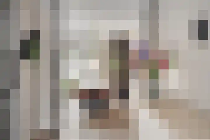 Gitaarstraat 15 Eindhoven thumbnail 18