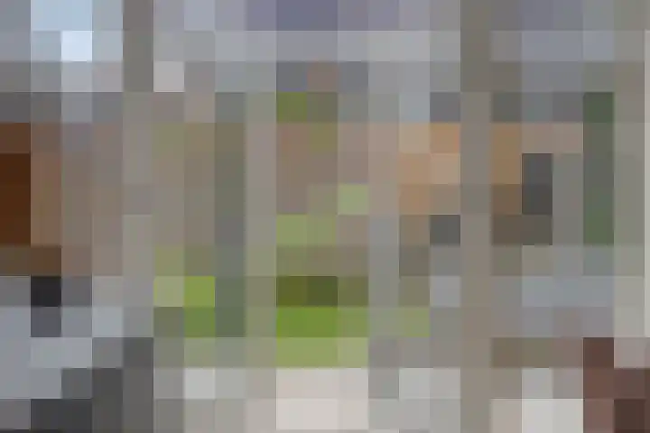 Gitaarstraat 15 Eindhoven thumbnail 22