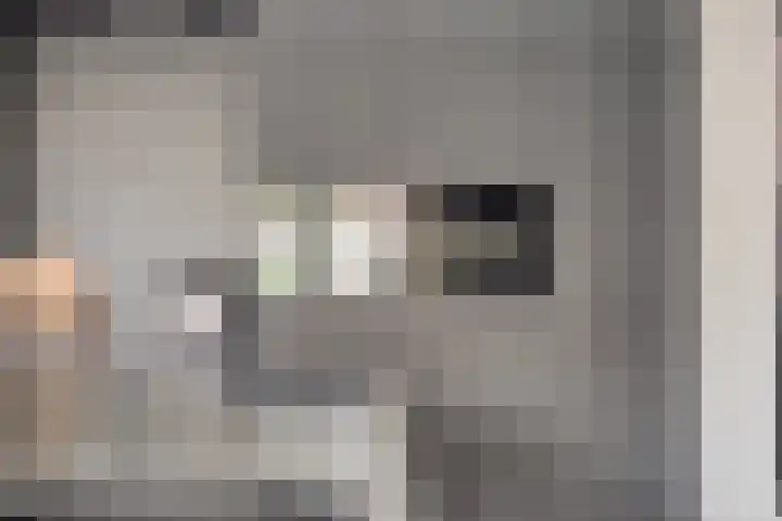 Gitaarstraat 15 Eindhoven thumbnail 30
