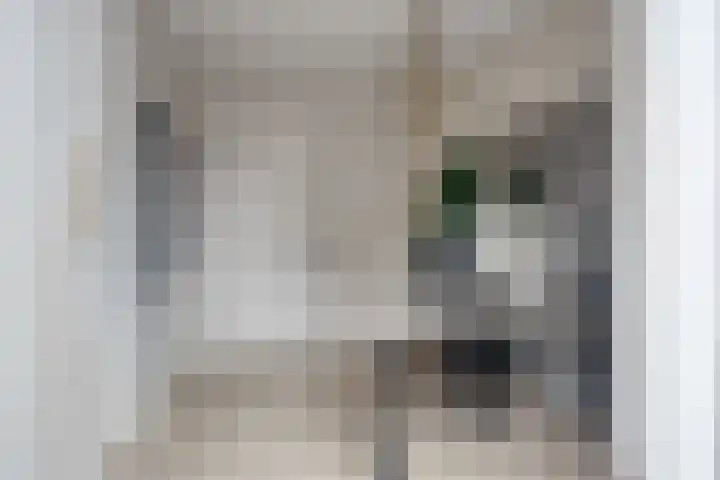 Gitaarstraat 15 Eindhoven thumbnail 31