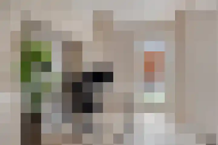 Gitaarstraat 15 Eindhoven thumbnail 32