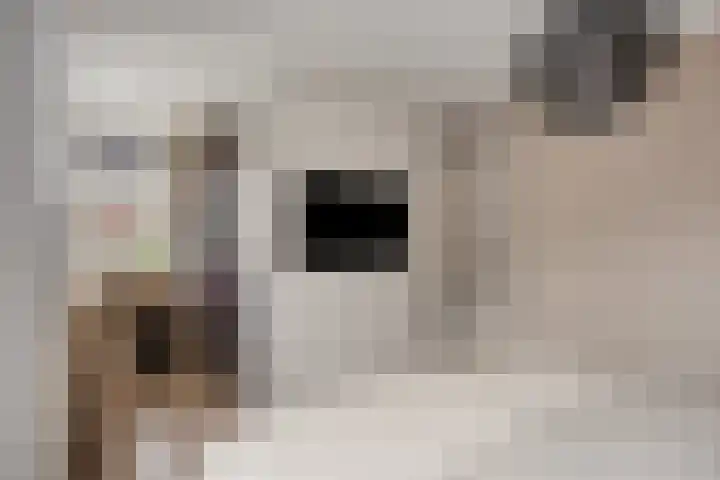 Gitaarstraat 15 Eindhoven thumbnail 35