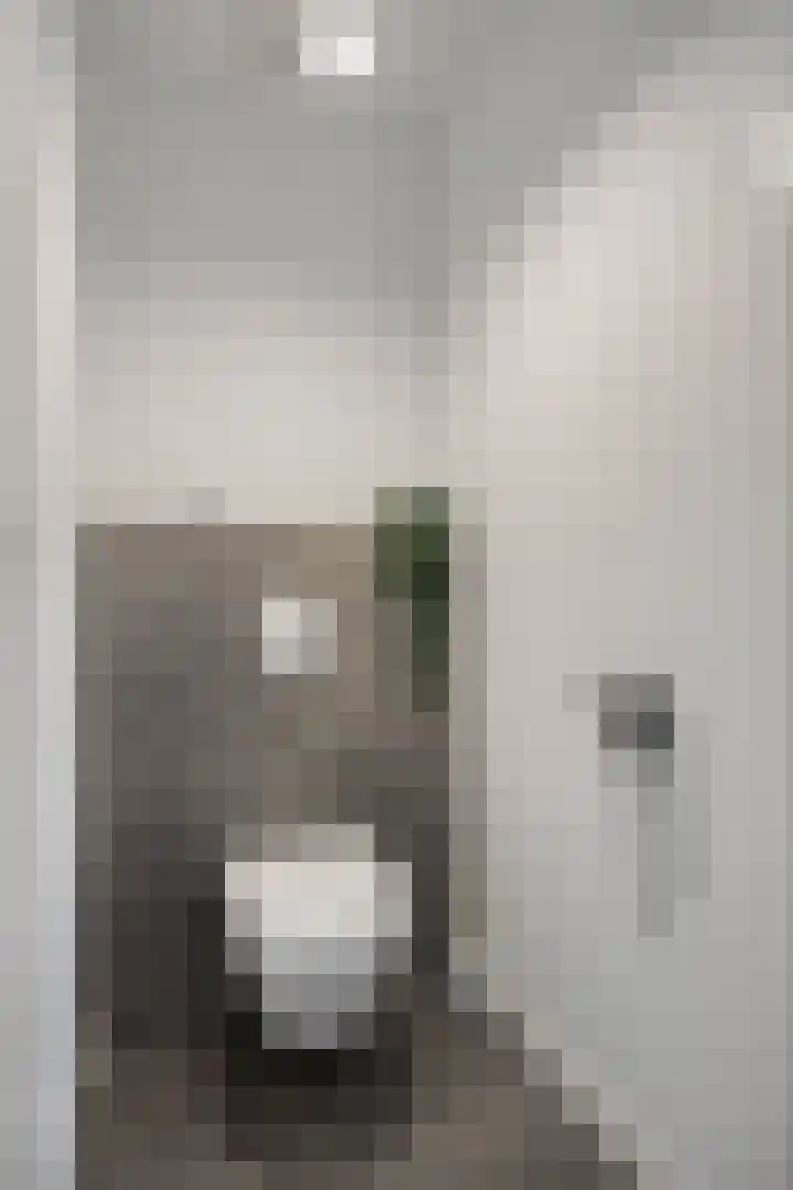 Gitaarstraat 15 Eindhoven thumbnail 39