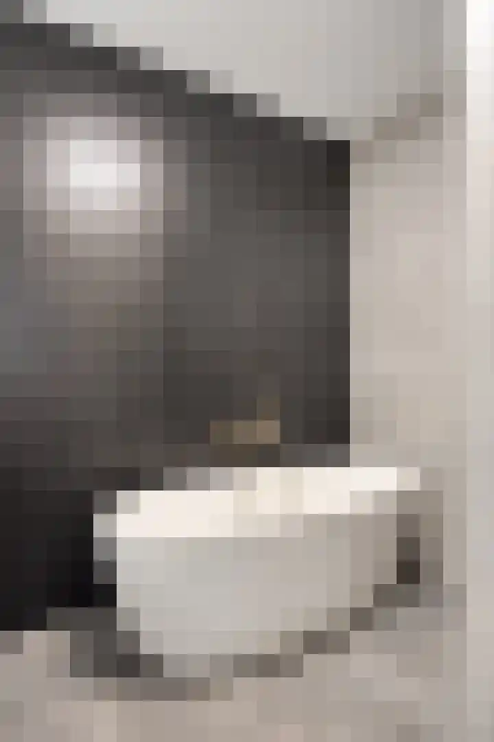 Gitaarstraat 15 Eindhoven thumbnail 43
