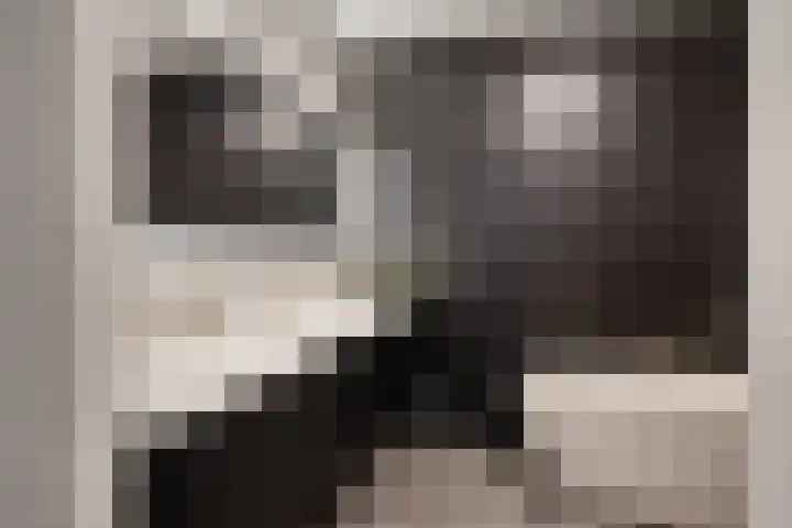 Gitaarstraat 15 Eindhoven thumbnail 5