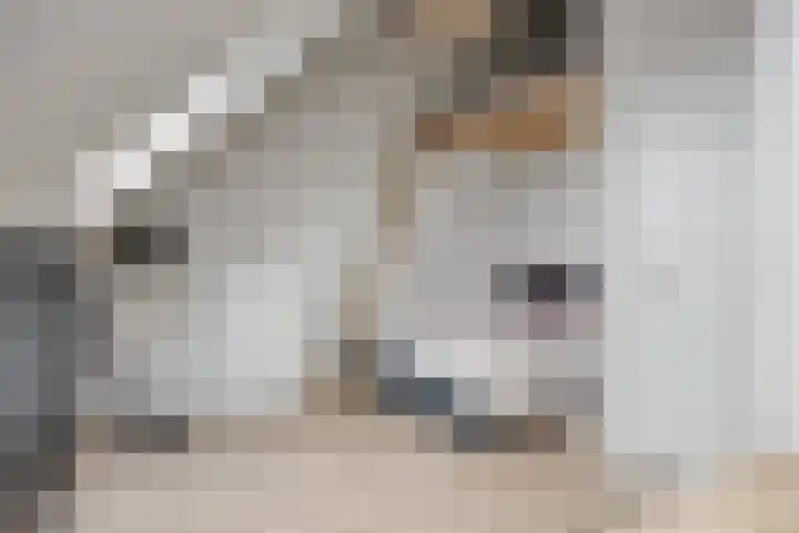 Gitaarstraat 15 Eindhoven thumbnail 54