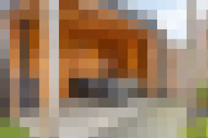Gitaarstraat 15 Eindhoven thumbnail 62