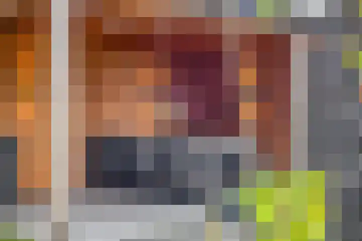 Gitaarstraat 15 Eindhoven thumbnail 63